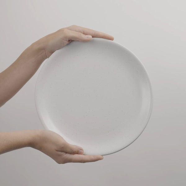 4 piece white stoneware ceramic dinner plates